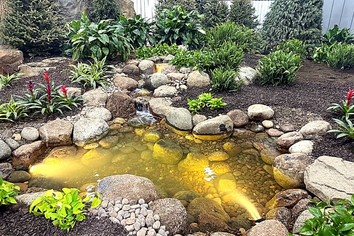 Small pond in backyard