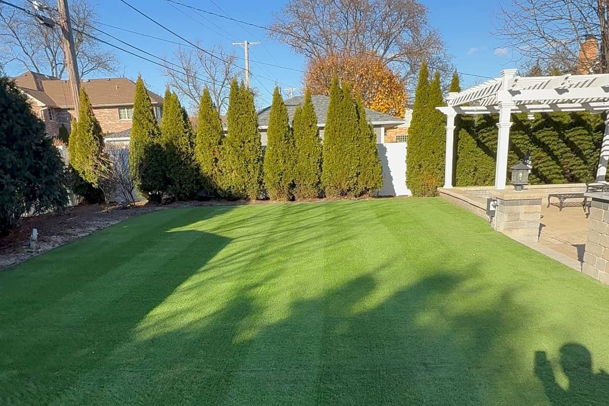 new turf on backyard