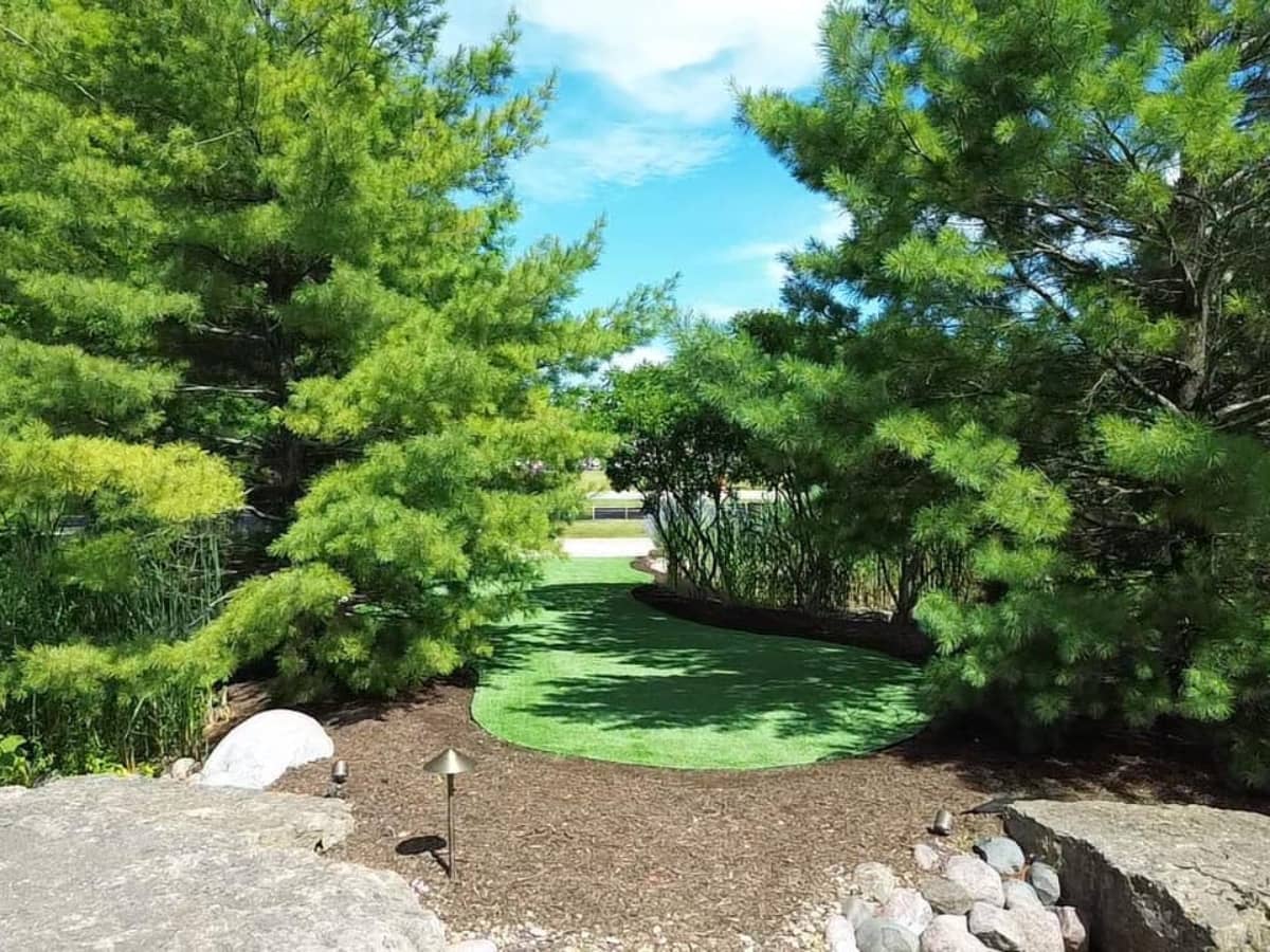 golf course turf
